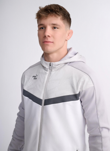 IPPONGEAR_Iconic_Teamwear_Hoodie_Men_grey_emotion.jpg